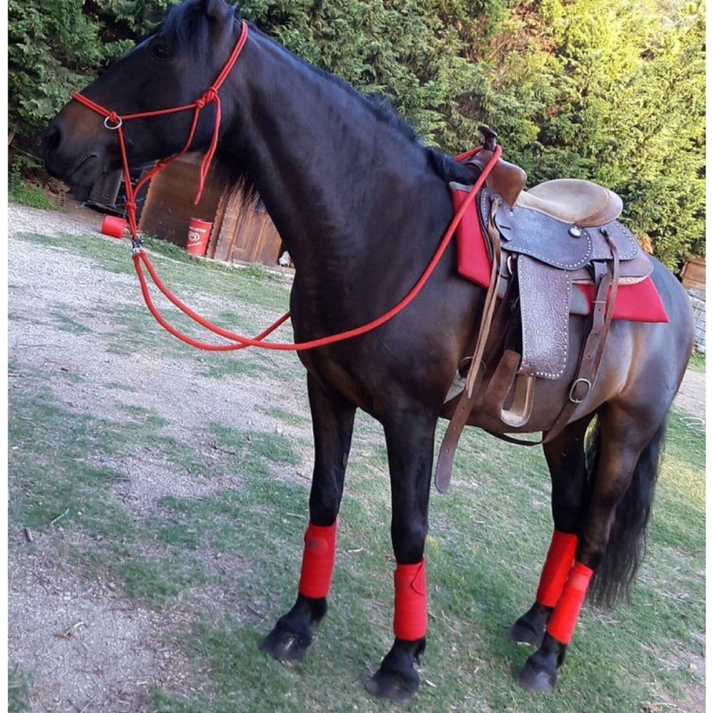Red Fleece Polo Wraps